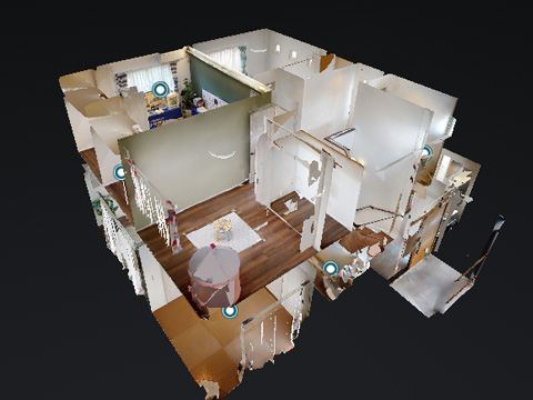 REMOTE VIWER 360